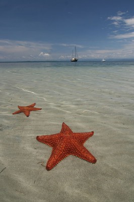 Playa Estrella [Photo Credit: Creative Commons 3.0, JurriaanH]