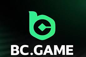 Exploring BC.Game The Premier Online Gaming Platform in Japan 843286612